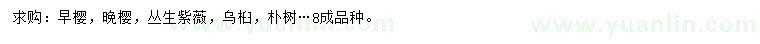 求购早樱、晚樱、丛生紫薇等