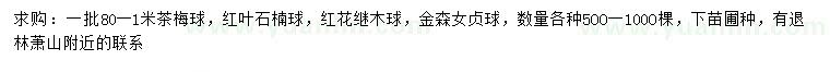 求购茶梅球、红叶石楠球、红花继木球等