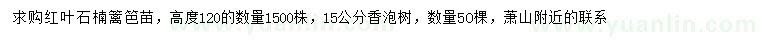求购高120公分红叶石楠、15公分香泡树