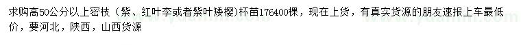 求购紫叶李、红叶李、紫叶矮樱