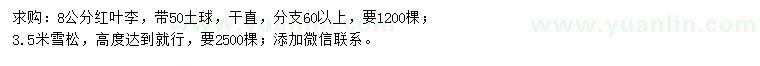 求购8公分红叶李、3.5米雪松