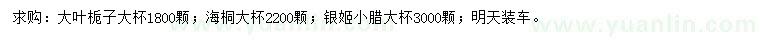 求购大叶栀子、海桐、银姬小腊