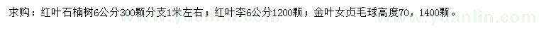 求购红叶石楠、红叶李、金叶女贞球