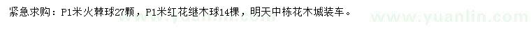 求购冠1米火棘球、红花继木球