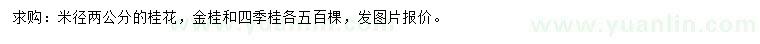 求购米径2公分金桂、四季桂