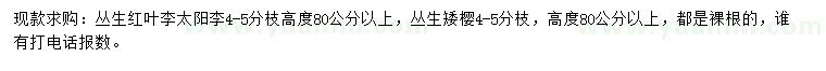 求购丛生红叶李、丛生太阳李、丛生矮樱