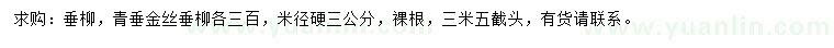 求购垂柳、青垂、金丝垂柳