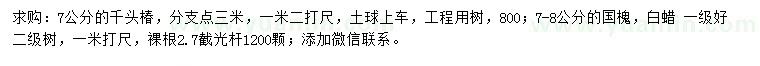 求购千头椿、国槐、白蜡