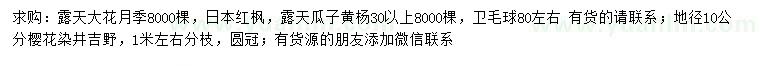 求购大花月季、日本红枫、瓜子黄杨等