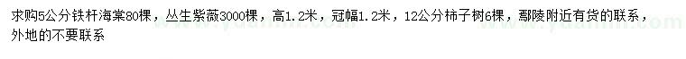 求购铁杆海棠、丛生紫薇、柿子树