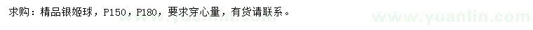 求购冠150、180公分银姬球