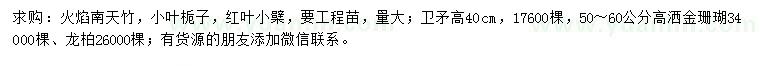 求购火焰南天竹、小叶栀子、红叶小檗等