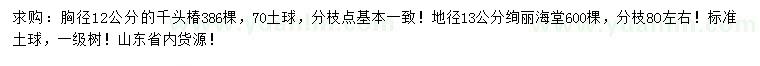 求购胸径12公分千头椿、地径13公分绚丽海棠