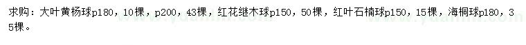 求购大叶黄杨球、红花继木球、红叶石楠球等