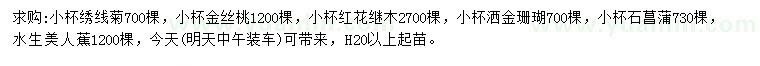 求购绣线菊、金丝桃、红花继木等