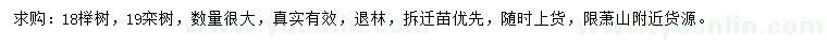 求购18公分榉树、19公分栾树