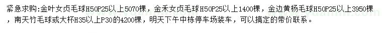 求购金叶女贞球、金禾女贞球、金边黄杨球等