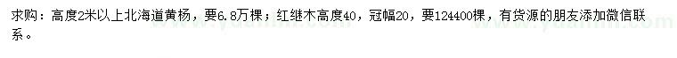 求购高2米以上北海道黄杨、高40公分红继木