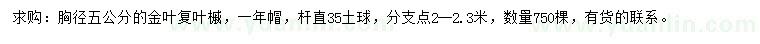 求购胸径5公分金叶复叶槭