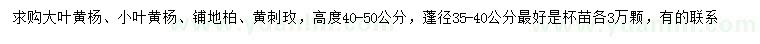 求购大叶黄杨、小叶黄杨、铺地柏等