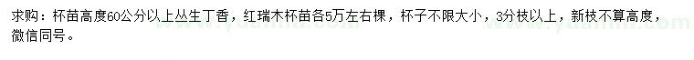 求购高60公分以上丛生丁香、红瑞木