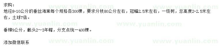 求购地径8-10公分垂丝海棠、9公分垂柳