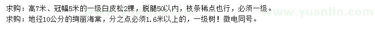 求购高7米白皮松、地径10公分绚丽海棠