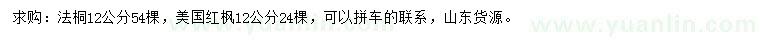 求购12公分法桐、美国红枫