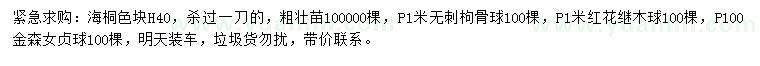 求购海桐、无刺枸骨球、红花继木球等