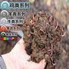 蚯蚓粪厂家|草炭土价格|园林绿化工程肥批发-石家庄王阳生物科技有限公司