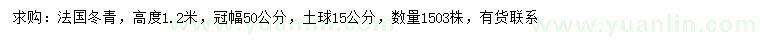 求购高1.2米法国冬青