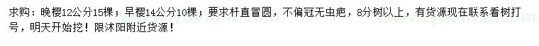 求购12公分晚樱、14公分早樱