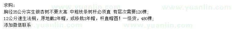 求购胸径35公分实生银杏、12公分速生法桐