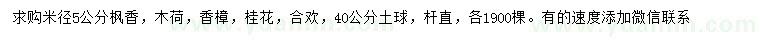 求购枫香、木荷、香樟等