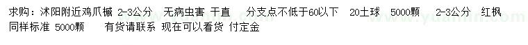 求购2-3公分鸡爪槭、红枫