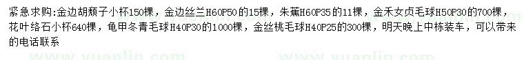 求购金边胡颓子、金边丝兰、朱蕉等