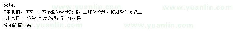 求购侧柏、油松、云杉等