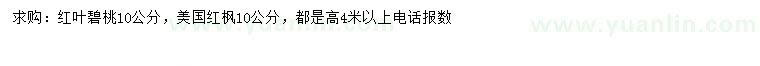 求购10公分红叶碧桃、美国红枫