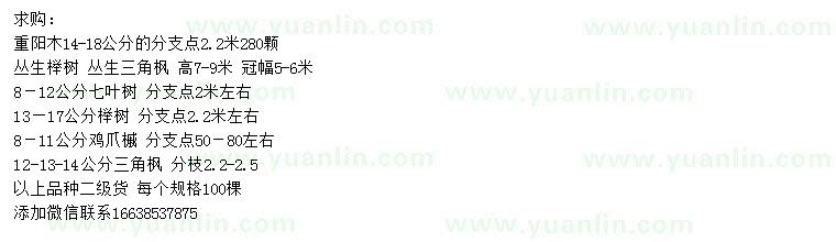 求购重阳木、丛生榉树、丛生三角枫等