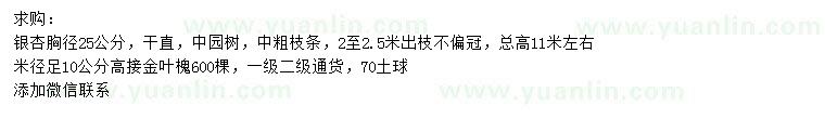 求购胸径25公分银杏、米径10公分金叶槐