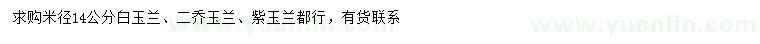 求购白玉兰、二乔玉兰、紫玉兰