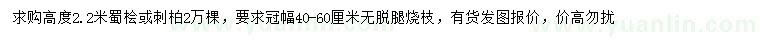 求购高2.2米蜀桧、刺柏