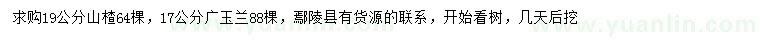 求购19公分山楂、17公分广玉兰