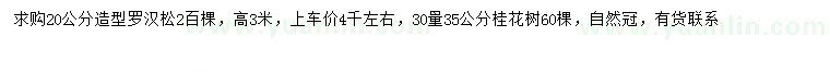 求购20公分造型罗汉松、30量35公分桂花