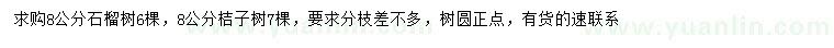 求购8公分石榴树、桔子树