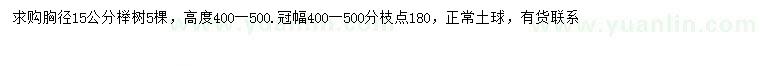 求购胸径15公分榉树