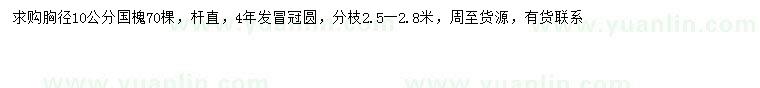 求购胸径10公分国槐