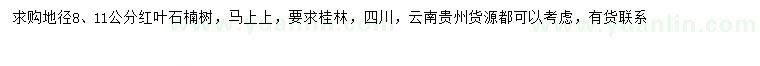 求购地径8、11公分红叶石楠树