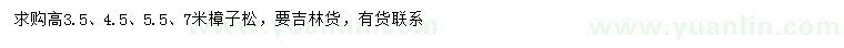 求购高3.5、4.5、5.5、7米樟子松