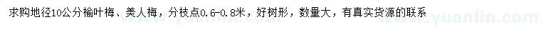 求购地径10公分榆叶梅、美人梅